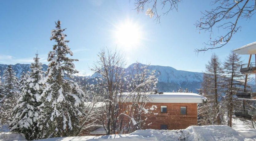 Photo of V du Bachat DROSERAS A