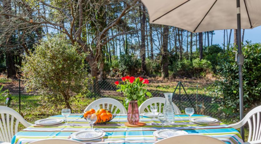 Photo of Bosquet des Ecureuils 17