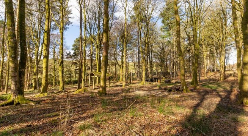 Photo of Doonans Cottage