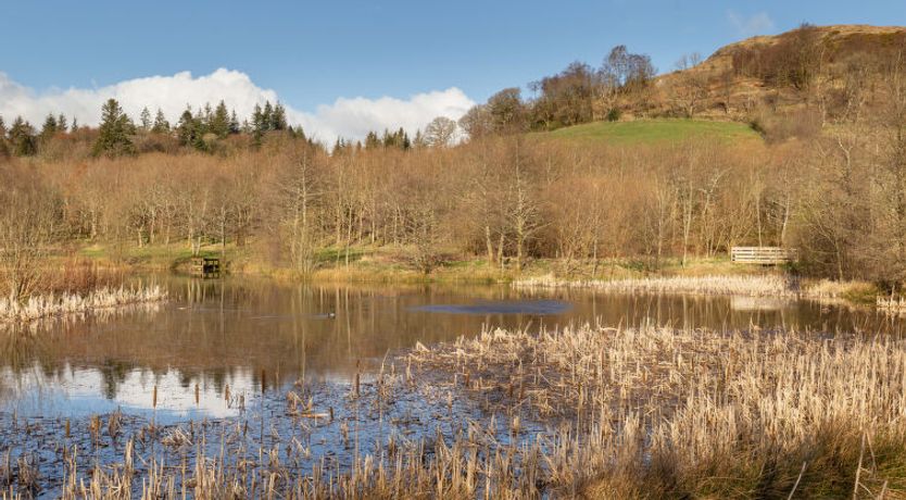 Photo of Doonans Cottage