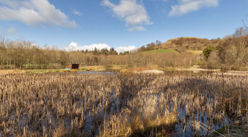 Photo of Doonans Cottage