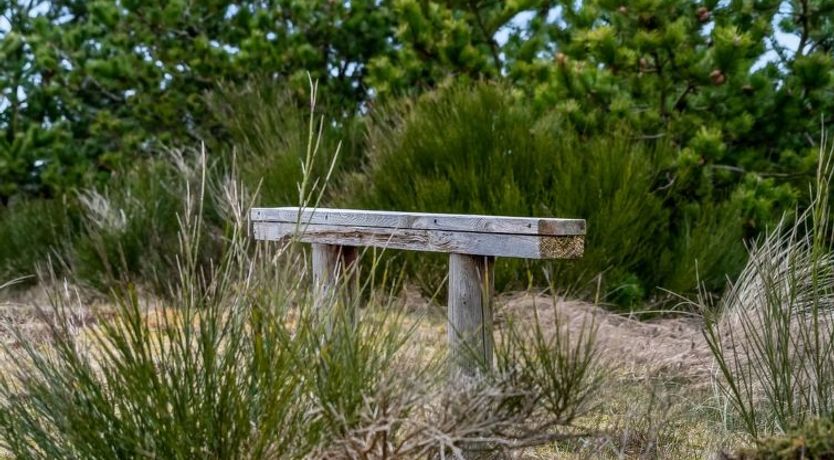 Photo of "Godja" - 1km from the sea