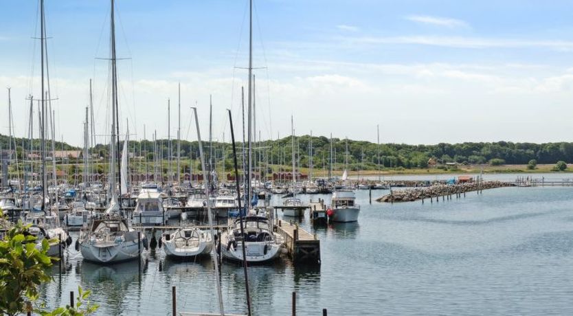 Photo of "Adils" - 5m from the sea