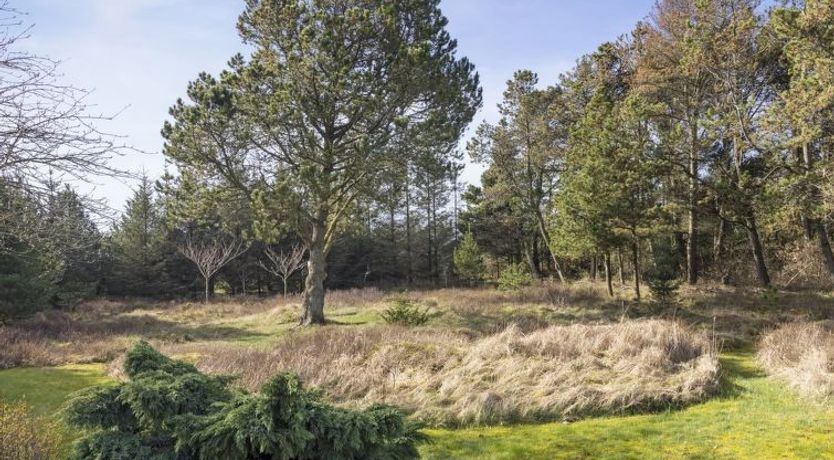 Photo of "Feli" - 180m from the sea