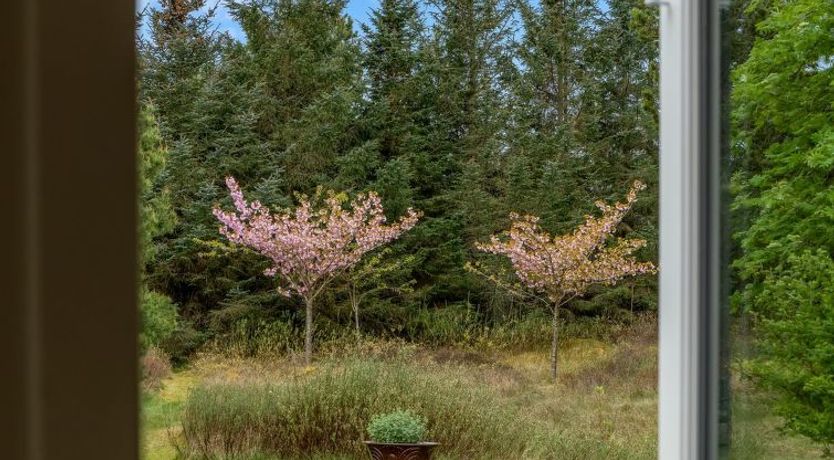 Photo of "Feli" - 180m from the sea