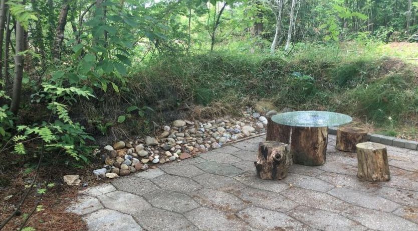 Photo of "Elevine" - 300m to the fjord