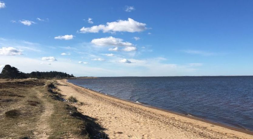 Photo of "Elevine" - 300m to the fjord