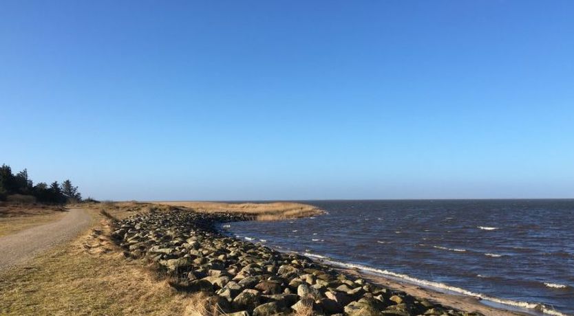 Photo of "Elevine" - 300m to the fjord