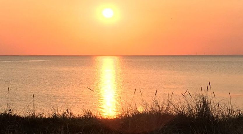 Photo of "Elevine" - 300m to the fjord