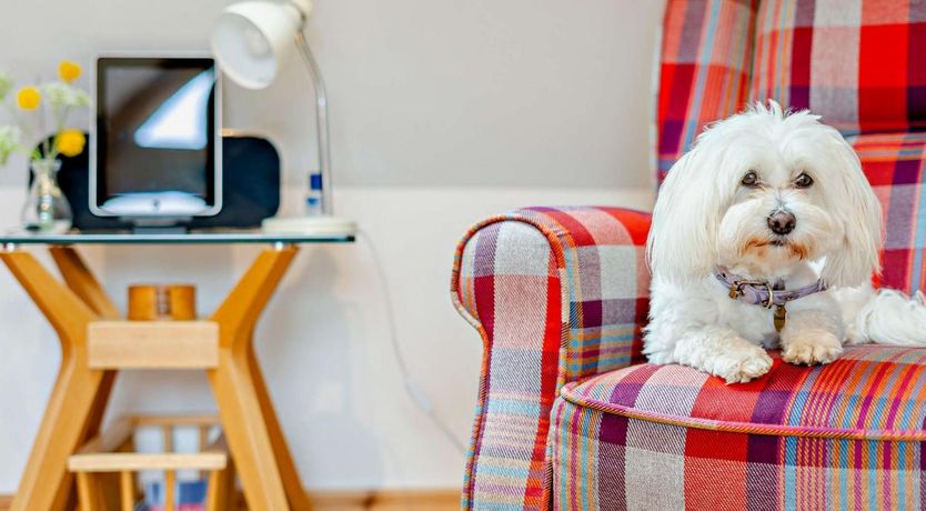 Photo of 1 Bed in Kincardine-on-Forth