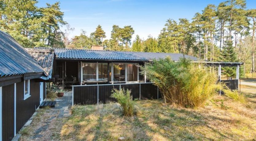 Photo of "Ahti" - 340m from the sea