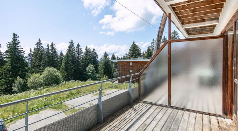 Photo of V du Bachat JOUBARBES A