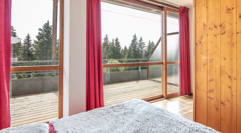 Photo of V du Bachat JOUBARBES A