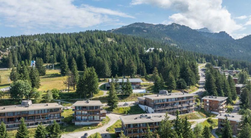 Photo of V du Bachat JOUBARBES A