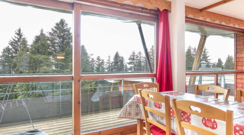 Photo of V du Bachat Asters B