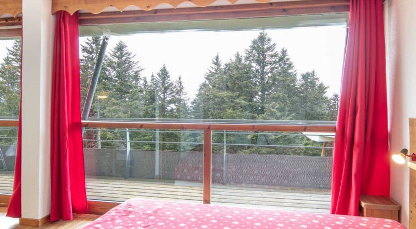 Photo of V du Bachat Asters B