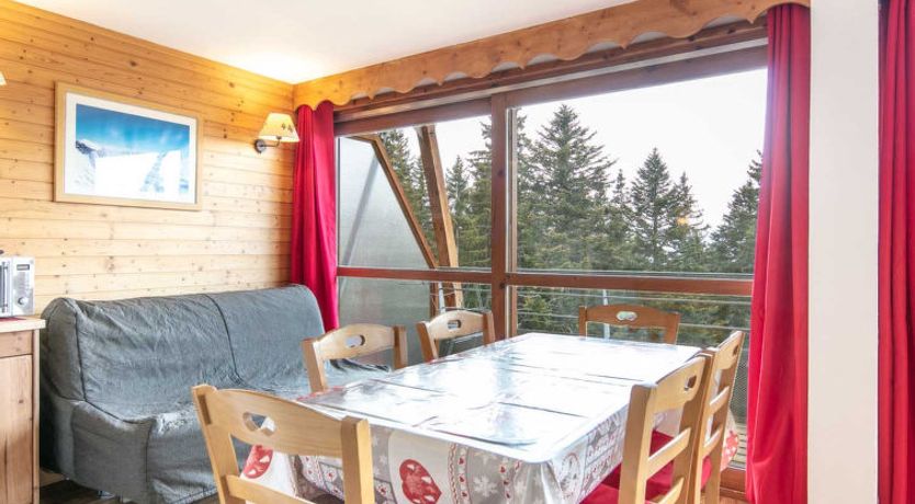 Photo of V du Bachat Asters B