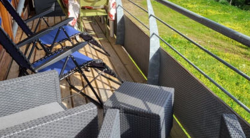 Photo of V du Bachat Asters B