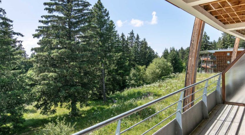 Photo of V du Bachat Joubarbes E