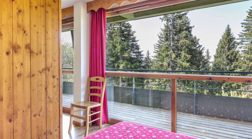 Photo of V du Bachat Asters E