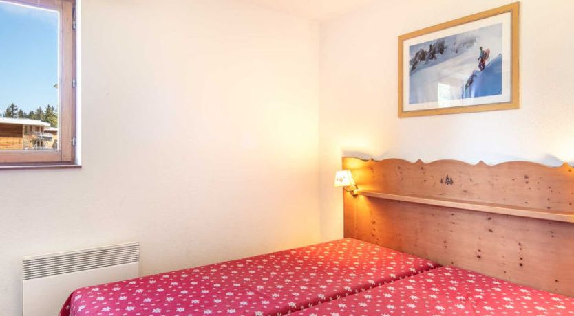 Photo of V du Bachat Asters E