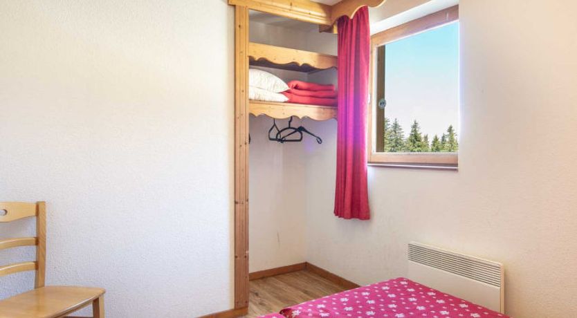 Photo of V du Bachat Asters E