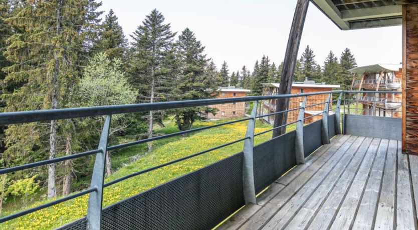 Photo of V du Bachat Asters E