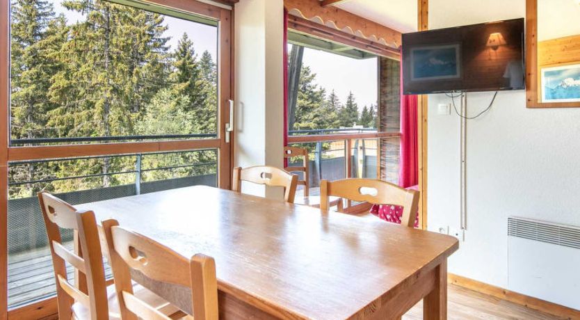 Photo of V du Bachat Asters E