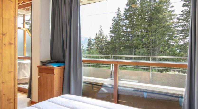 Photo of V du Bachat Silene D