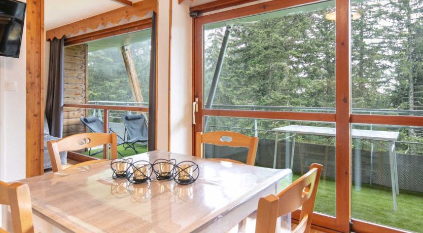 Photo of V.DU BACHAT Asters D