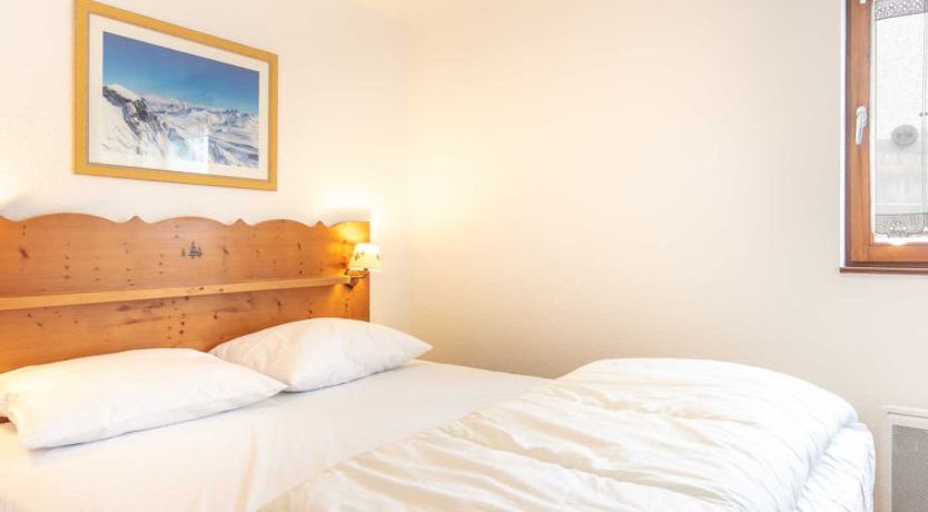 Photo of V.DU BACHAT Asters D