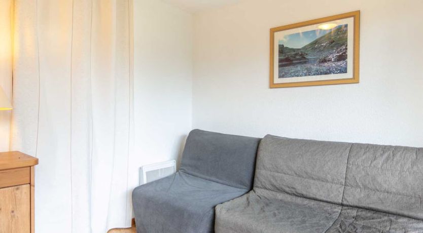 Photo of V.DU BACHAT Asters D