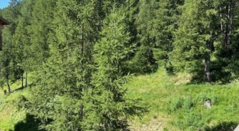 Photo of C. du Verdon