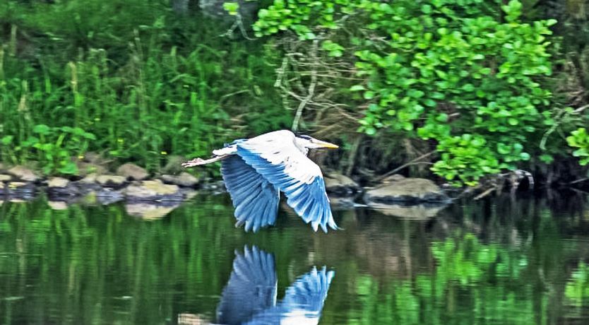 Photo of Isle of Skye Holiday Home 2