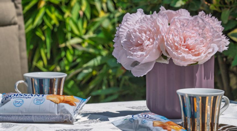 Photo of Villa Nika Studio