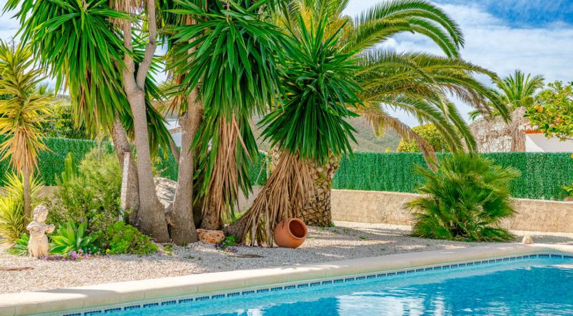 Photo of Aurora Boreal