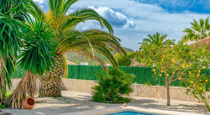 Photo of Aurora Boreal