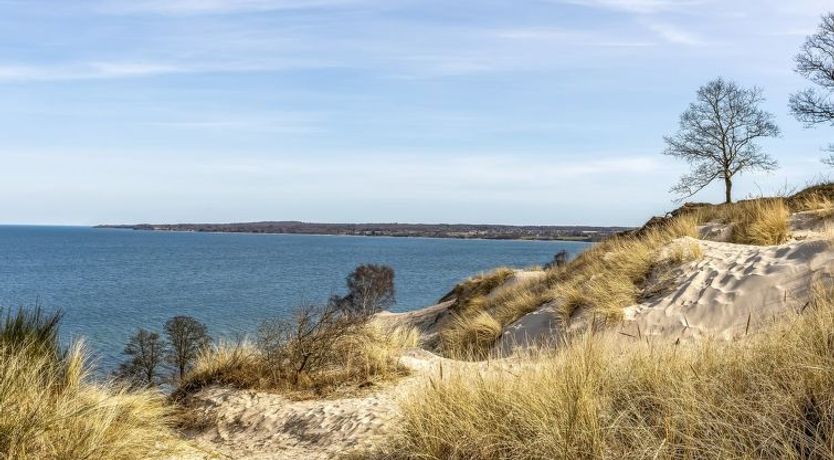 Photo of "Terttu" - 250m from the sea