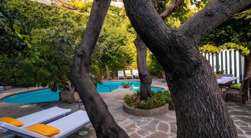 Photo of Sunshine & Lemons