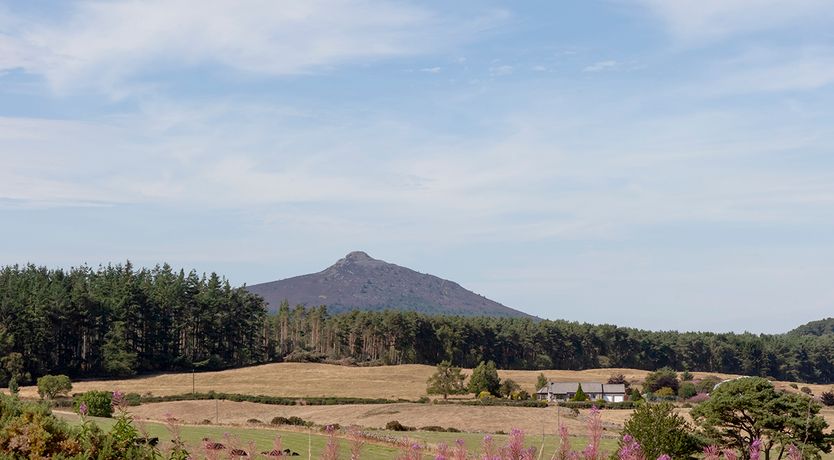 Photo of A Toast to Toastiness