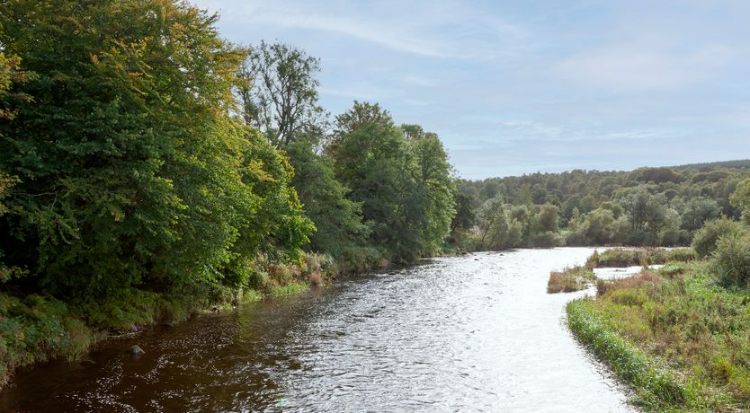 Photo of A Toast to Toastiness