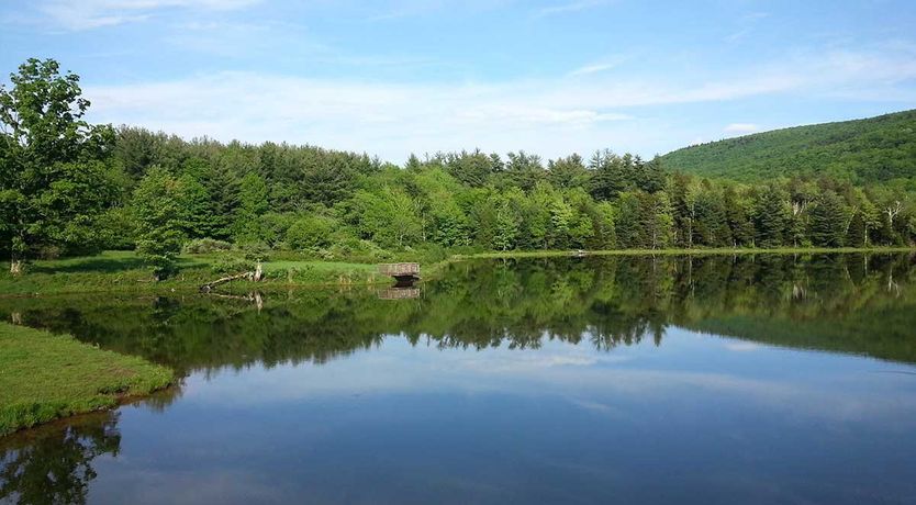 Photo of The Creekside Cabin