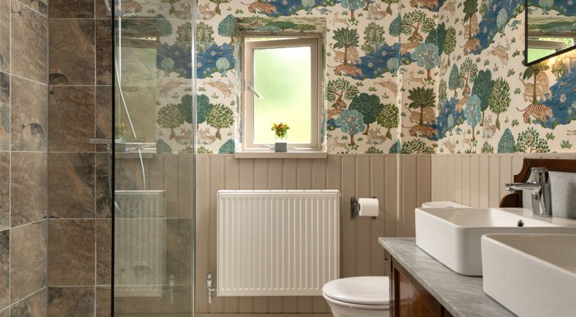 Photo of Wild Woodland