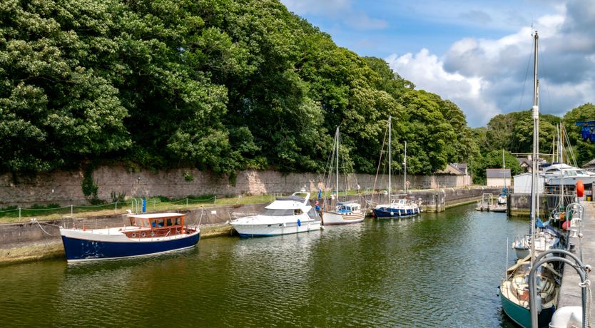 Photo of Wild Woodland