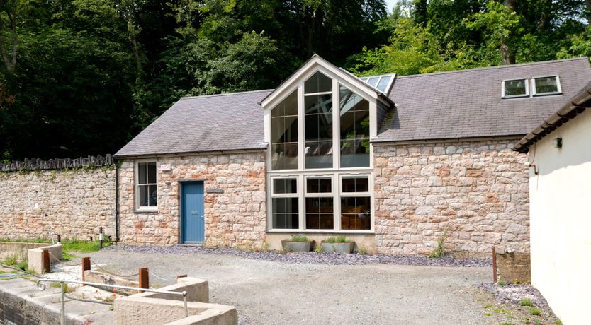 Photo of Wild Woodland