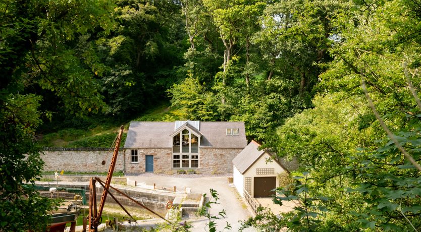 Photo of Wild Woodland