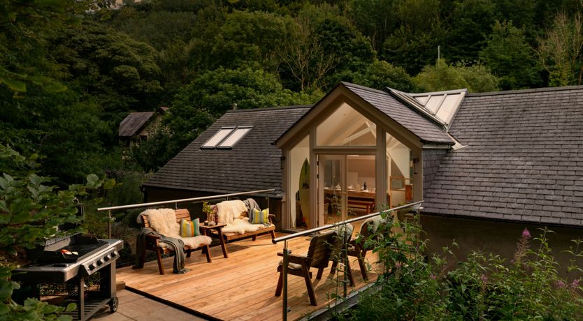 Photo of Wild Woodland