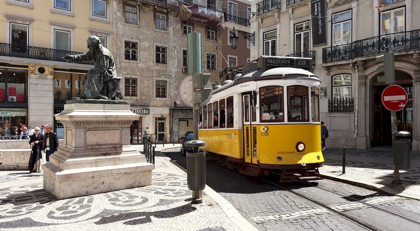 Photo of From the Vine