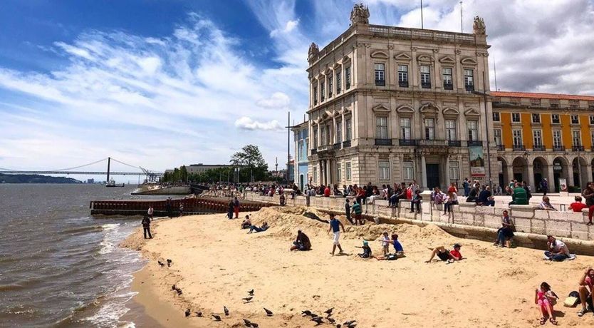 Photo of From the Vine