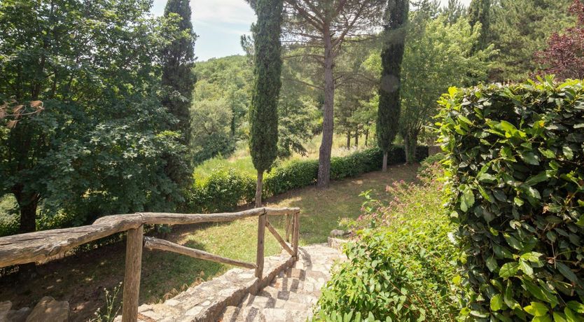 Photo of Tuscan Gaze